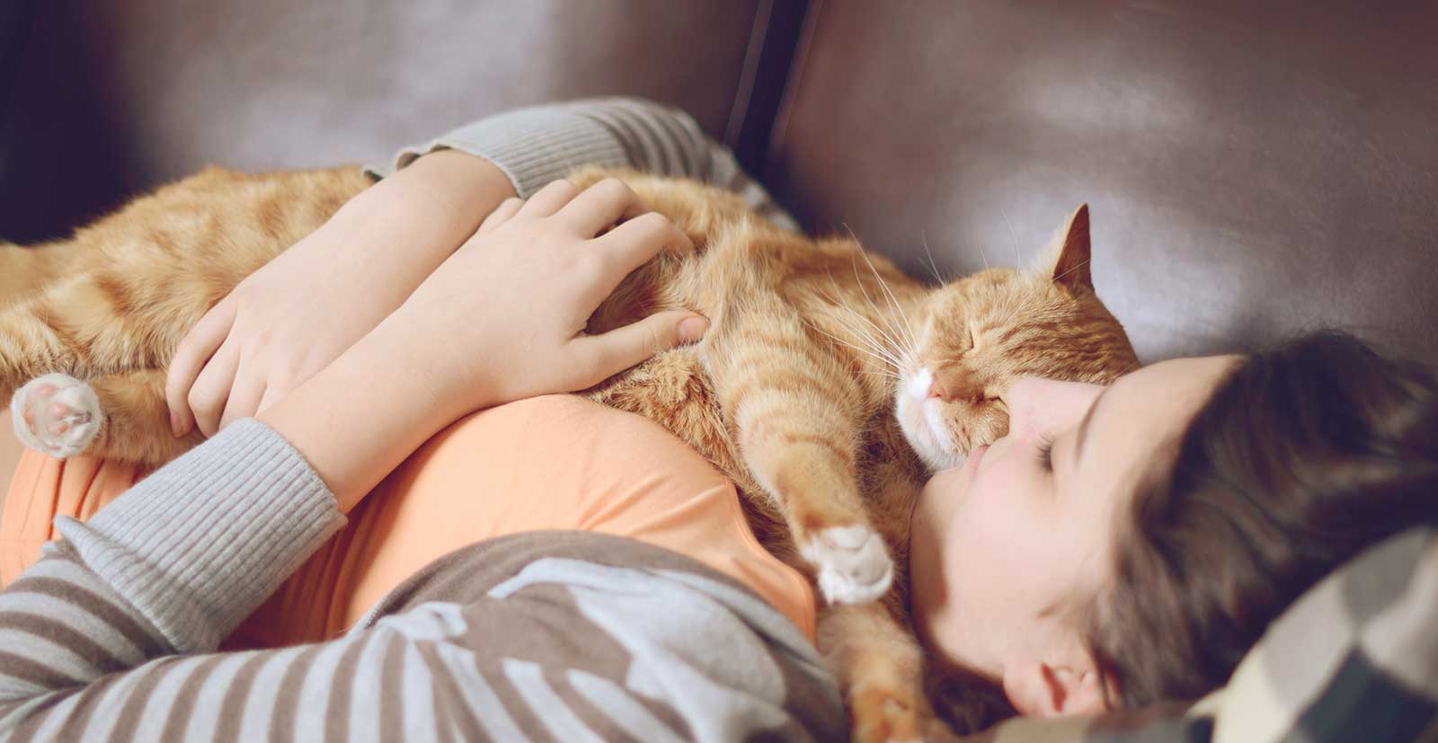 A cat sleeping with their human